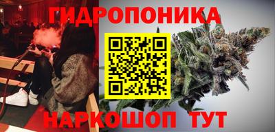 гидропоника Камышлов